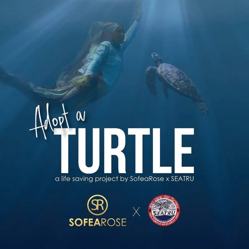 Mermaid series launched